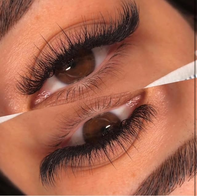 SWEETY LASH - Extension de cils - 500 pcs 3D cils volume russe préfait en soie bouquet cils faux cils individuels courbure D et C (3D-0.10C - 11mm)