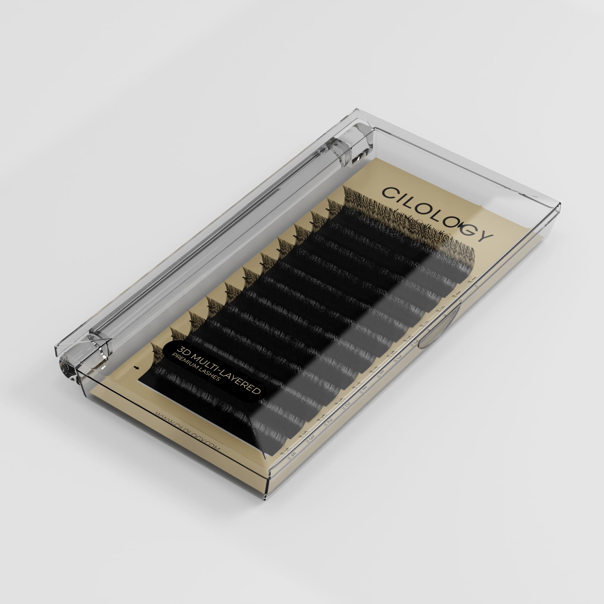LASH 3D