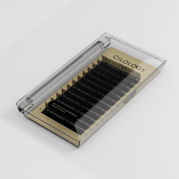 LASH 3D