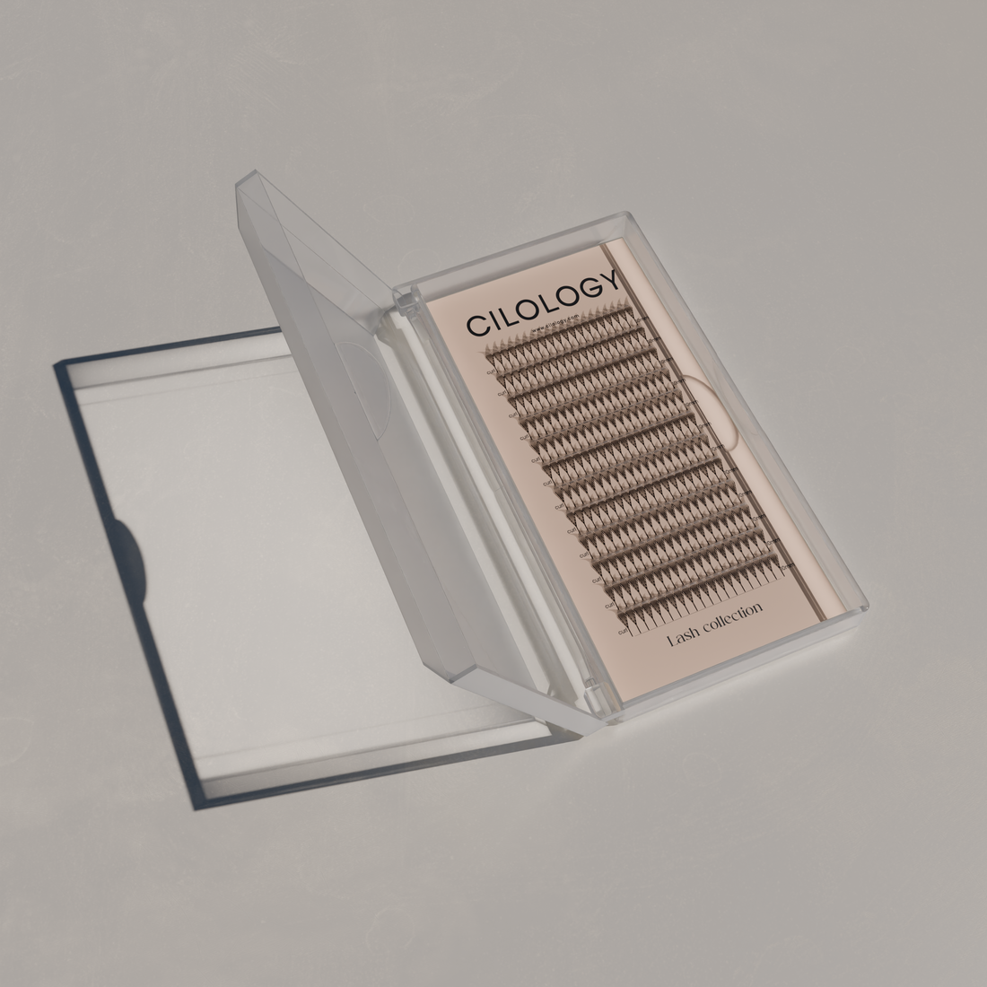 MANGA LASH